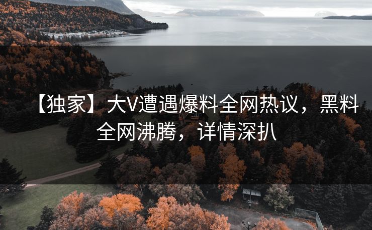 【独家】大V遭遇爆料全网热议，黑料全网沸腾，详情深扒