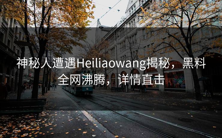 神秘人遭遇Heiliaowang揭秘，黑料全网沸腾，详情直击