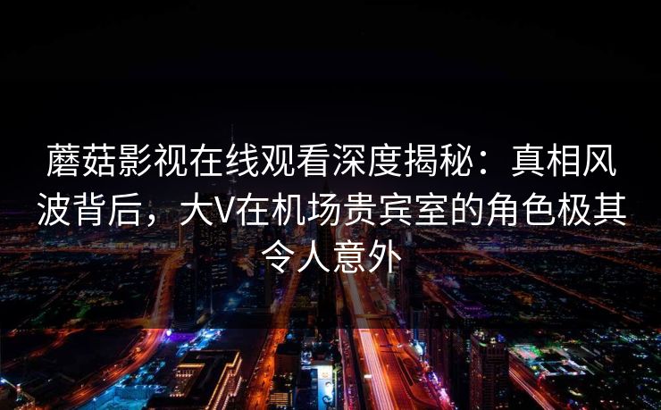 蘑菇影视在线观看深度揭秘：真相风波背后，大V在机场贵宾室的角色极其令人意外  第1张