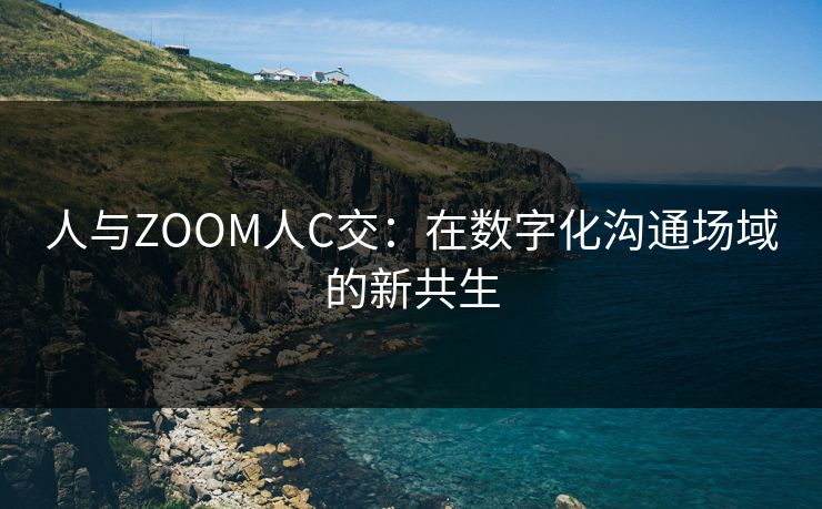 人与ZOOM人C交：在数字化沟通场域的新共生  第1张