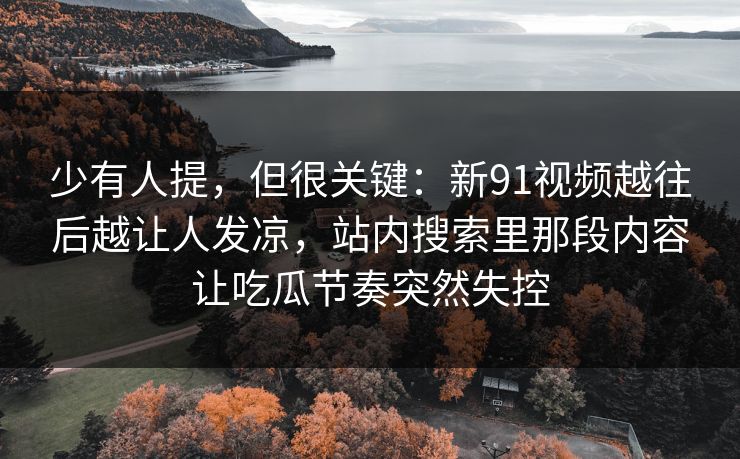 少有人提，但很关键：新91视频越往后越让人发凉，站内搜索里那段内容让吃瓜节奏突然失控
